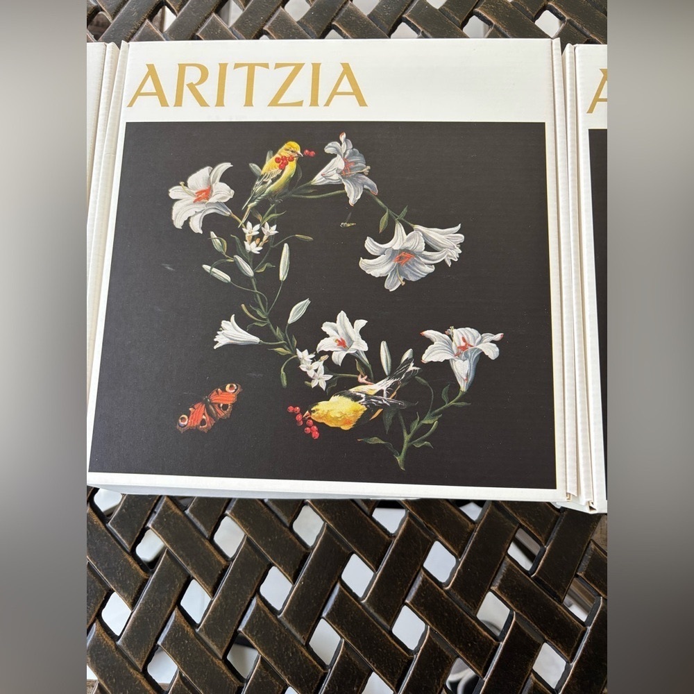 Aritzia small gift box